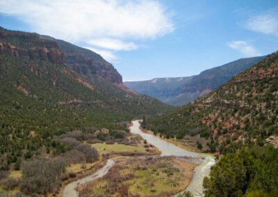 Snaggletooth section of the Dolores River Canyon