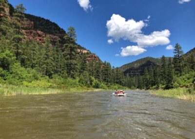 Rafting though the old growth Ponderosa Pine forests within the Ponderosa Gorge in the proposed Dolores River National Conservation Area