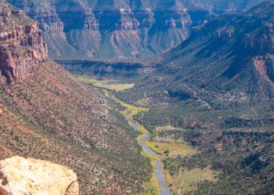 View of Dolores River Canyon from the canyon rim, near Slickrock